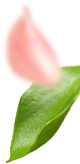 leave